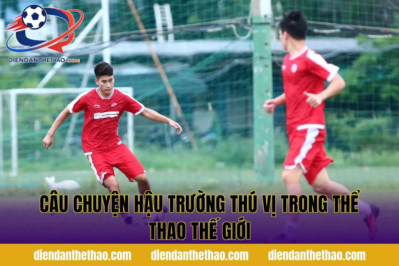 Câu chuyện hậu trường thú vị trong thể thao thế giới