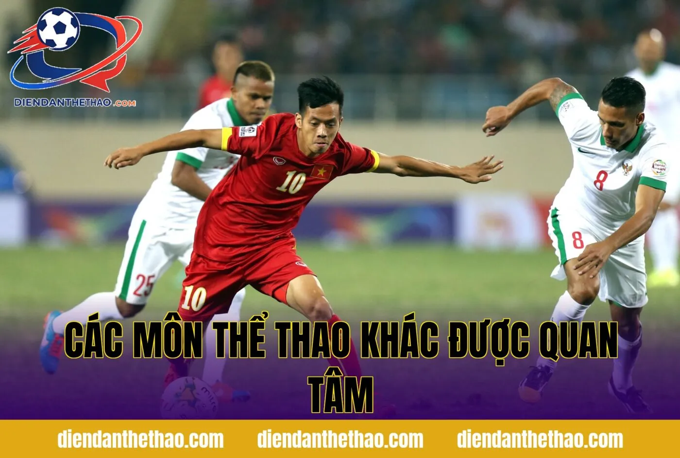 Các môn thể thao khác được quan tâm