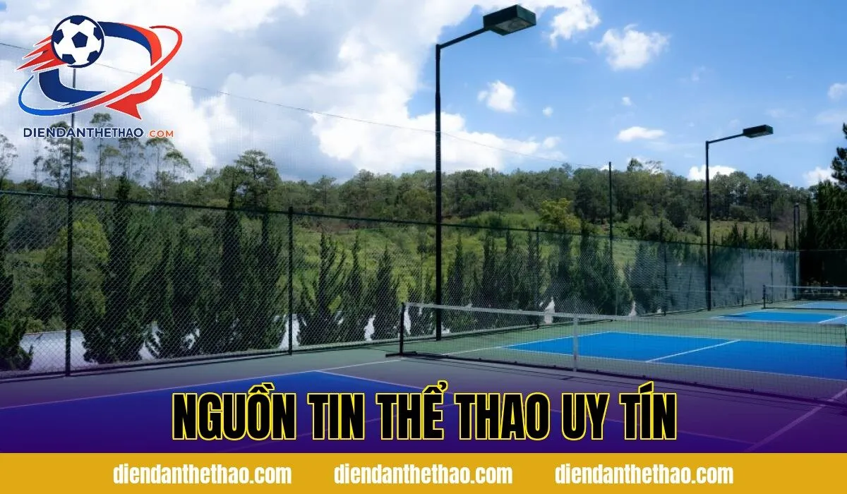 nguồn tin thể thao uy tín