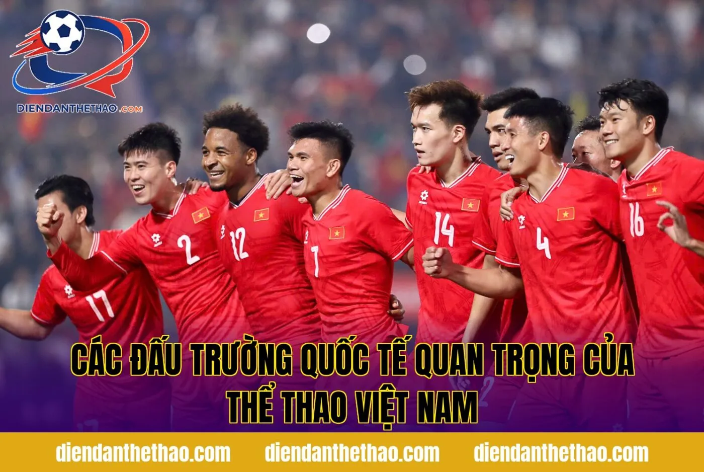 Các đấu trường quốc tế quan trọng của thể thao Việt Nam