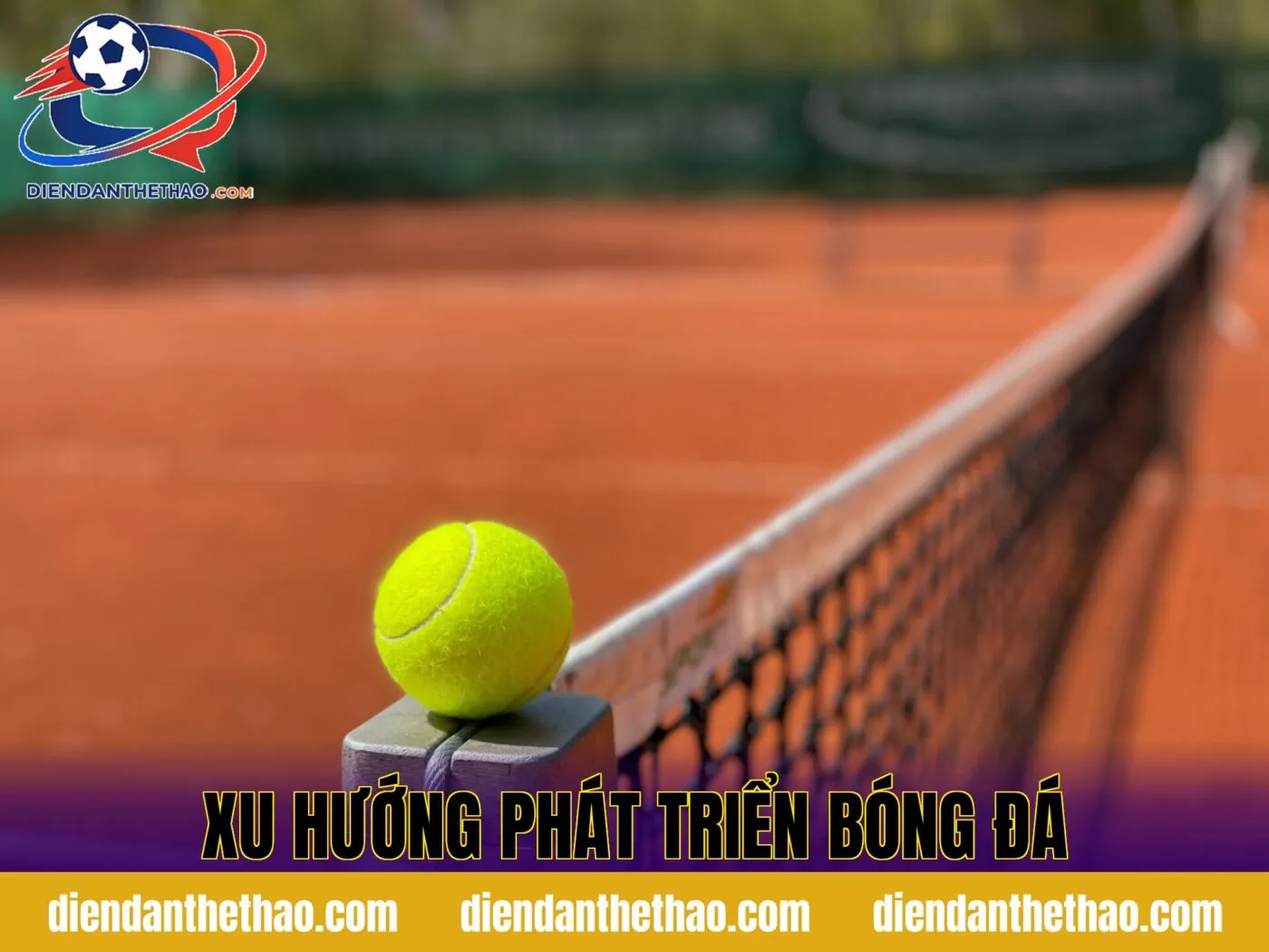 xu hướng phát triển bóng đá