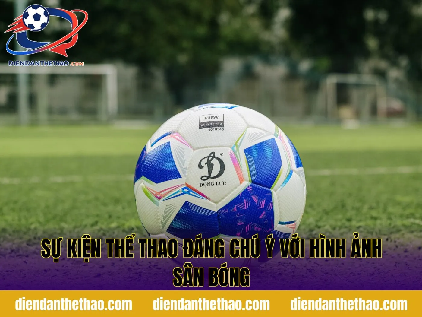 sự kiện thể thao đáng chú ý với hình ảnh sân bóng