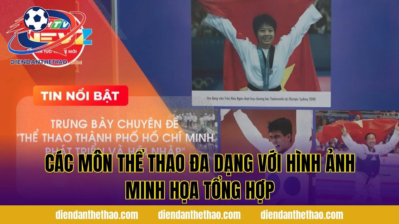 các môn thể thao đa dạng với hình ảnh minh họa tổng hợp