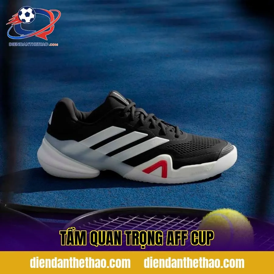 tầm quan trọng AFF Cup
